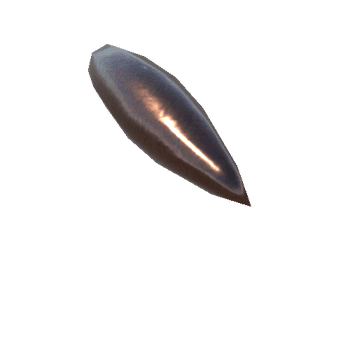 6.8 Remington SPC Bullet_1_2